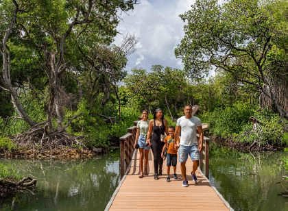 /clients/Rif-Mangrove-Park/Rif-Mangrove-1.jpg